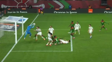 ترددات جديدة.. القنوات المفتوحة لنقل مباراة الجزائر والكونغو الديمقراطية